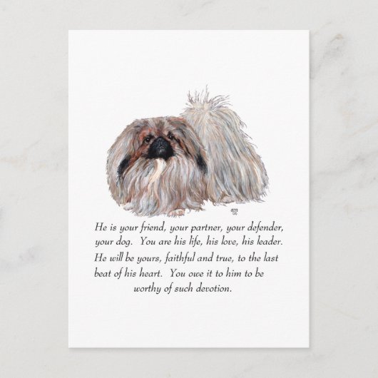 Pekingese Keepake — MALE Postkarte (Vorderseite)