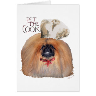 Pekingese Koch - Männlich