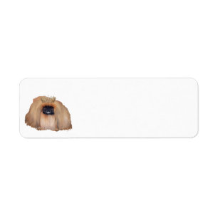 Pekingese Königin (nach Wunsch anpassen!)