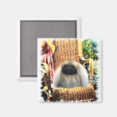 Pekingese Kunstgeschenke Magnet (Vorderseite/Rückseite)
