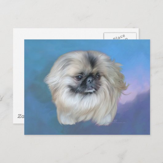 Pekingese Lily on Blue Postkarte (Vorne/Hinten)