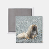 Pekingese Magnet (Vorderseite/Rückseite)