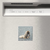 Pekingese Magnet (In Situ (Geschirrspüler))