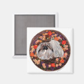 Pekingese Magnet (Vorderseite/Rückseite)