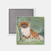Pekingese Magnet (Vorderseite/Rückseite)