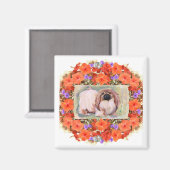 Pekingese Magnet (Vorderseite/Rückseite)