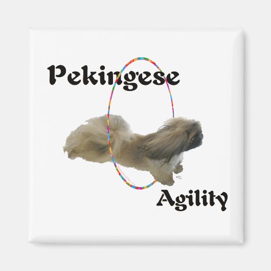 Pekingese Magnet (Vorne)