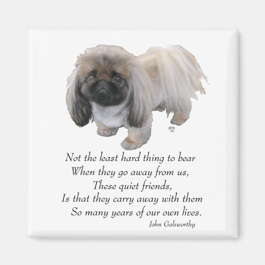 Pekingese Magnet (Vorne)