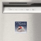 Pekingese Magnet (In Situ (Geschirrspüler))