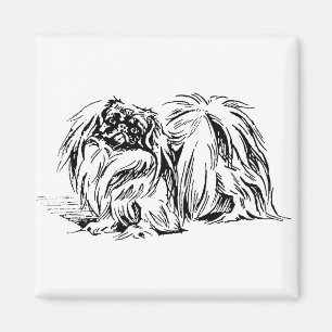 Pekingese Magnet