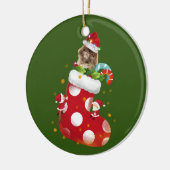 Pekingese mit Socken Keramik Ornament (Links)