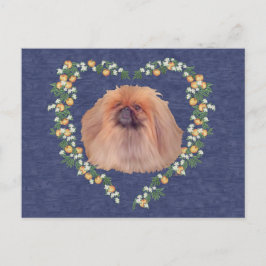 Pekingese Orangenblüten Postkarte