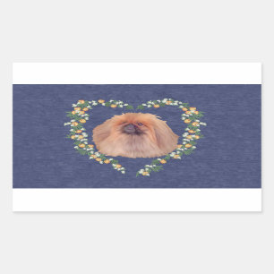 Pekingese Orangenblüten Rechteckiger Aufkleber