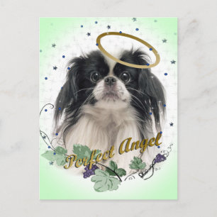 Pekingese Perfect Angel Postkarte