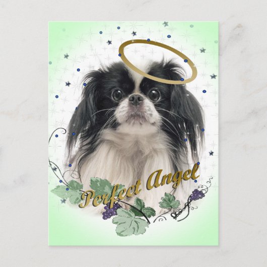 Pekingese Perfect Angel Postkarte (Vorderseite)