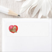 Pekingese/Poodle Mix Valentinstag (Insitu)