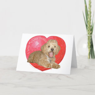 Pekingese / Poodle Mix Valentinstag Feiertagskarte