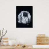 Pekingese Portrait in Schwarz-Weiß Poster (Küche)
