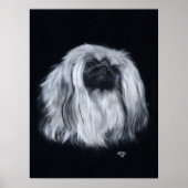 Pekingese Portrait in Schwarz-Weiß Poster (Vorne)