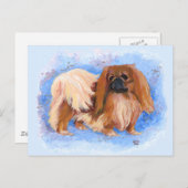 Pekingese Postkarte (Vorne/Hinten)