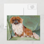 Pekingese postkarte (Vorne/Hinten)