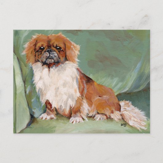 Pekingese postkarte (Vorderseite)