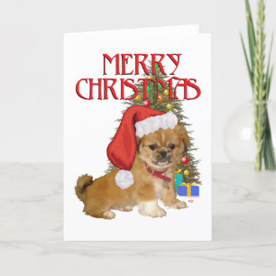 Pekingese Pup First Christmas Feiertagskarte