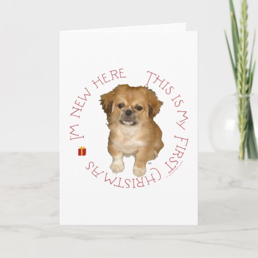 Pekingese Pup First Christmas Feiertagskarte (Vorderseite)
