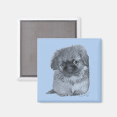 Pekingese Puppy Blue Magnet (Vorderseite/Rückseite)