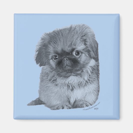 Pekingese Puppy Blue Magnet (Vorne)