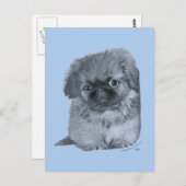 Pekingese Puppy Blue Postkarte (Vorne/Hinten)