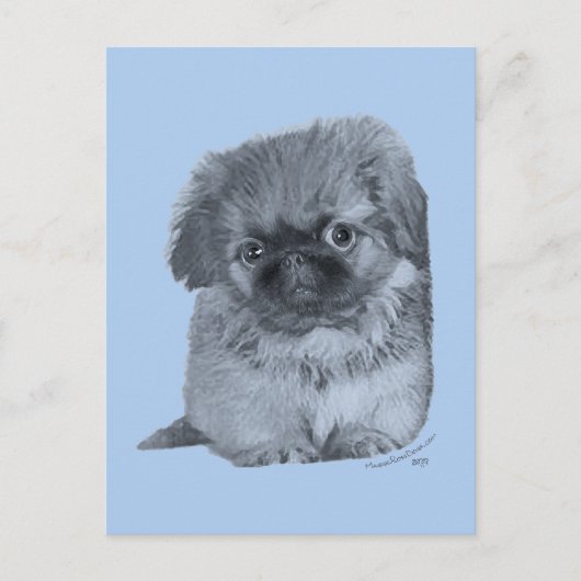Pekingese Puppy Blue Postkarte (Vorderseite)