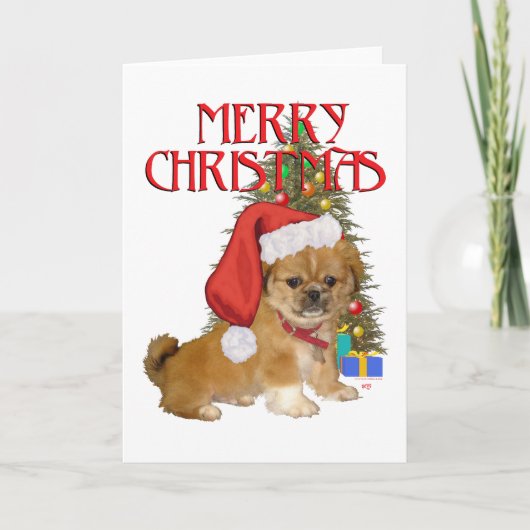 Pekingese Puppy Christmas Feiertagskarte (Vorderseite)
