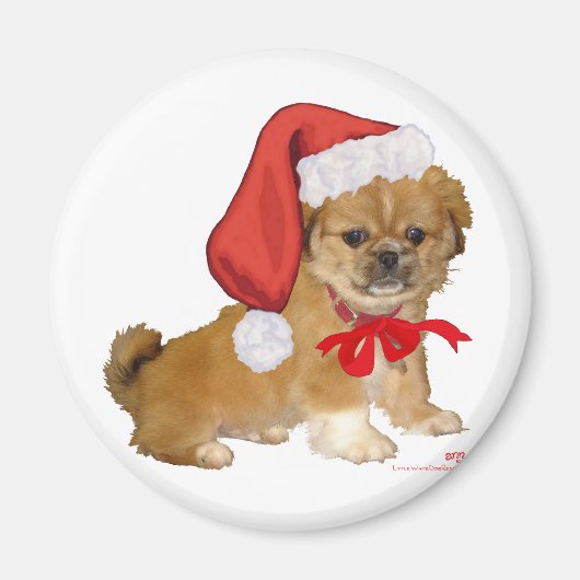 Pekingese Puppy Christmas Magnet (Vorne)