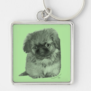 Pekingese Puppy Green Schlüsselanhänger