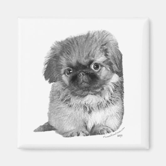 Pekingese Puppy Magnet (Vorne)
