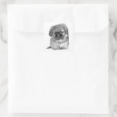 Pekingese Puppy Quadratischer Aufkleber (Tasche)