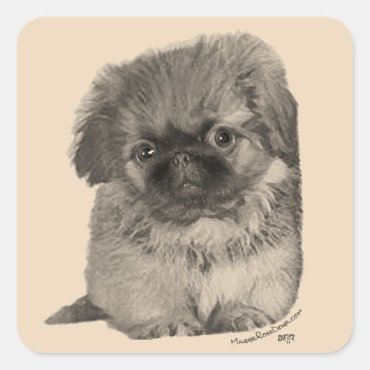 Pekingese Puppy Quadratischer Aufkleber (Vorderseite)