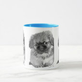 Pekingese Puppy Tasse (Zentrum)