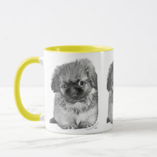 Pekingese Puppy Tasse