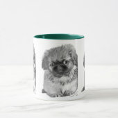 Pekingese Puppy Tasse (Zentrum)