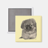 Pekingese Puppy Yellow Magnet (Vorderseite/Rückseite)