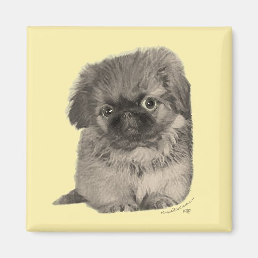 Pekingese Puppy Yellow Magnet (Vorne)