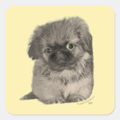 Pekingese Puppy Yellow Quadratischer Aufkleber (Vorderseite)