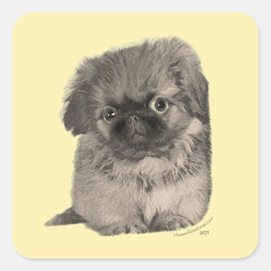 Pekingese Puppy Yellow Quadratischer Aufkleber (Vorderseite)