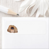 Pekingese Queen (Customize if you Wish!) (Insitu)