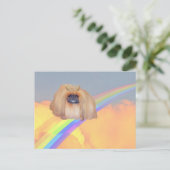 Pekingese Rainbow Postkarte (Stehend Vorderseite)