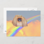 Pekingese Rainbow Postkarte (Vorne/Hinten)