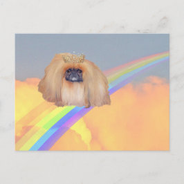Pekingese Rainbow Postkarte