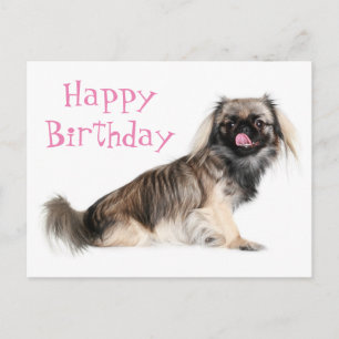 Pekingese Rosa Alles Gute zum Geburtstag Welpenhun Postkarte